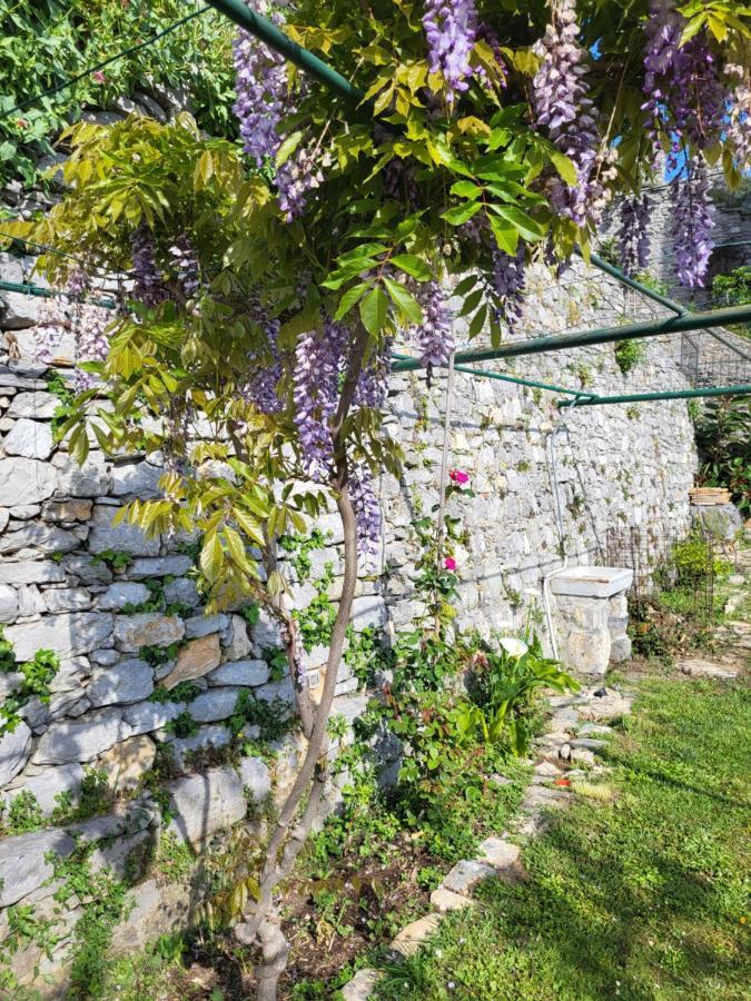 La Bouganvilla Porto Venere Kültér fotó
