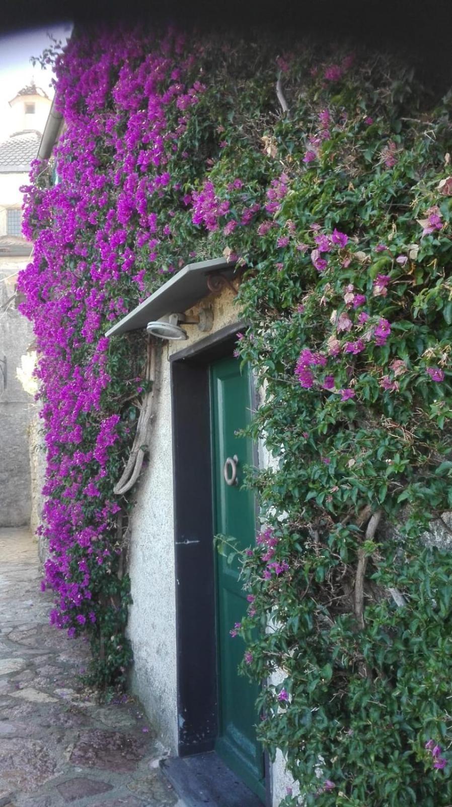 La Bouganvilla Porto Venere Kültér fotó